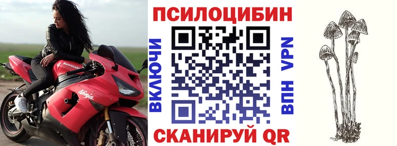 Псилоцибиновые грибы ЛСД  дарнет шоп  Мичуринск 